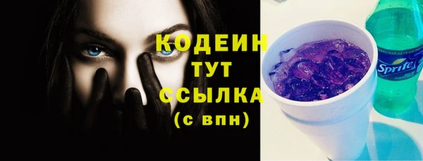 гашик Сосновка
