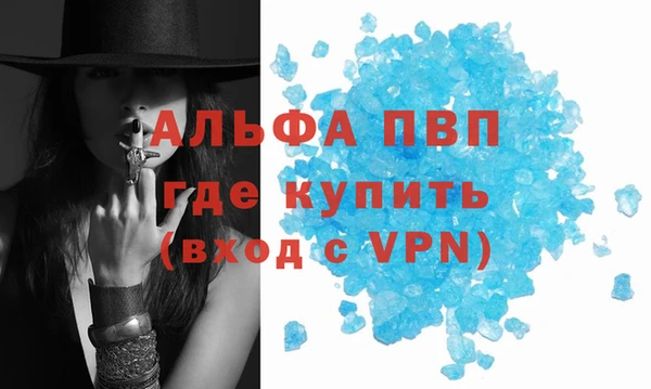 гашик Сосновка